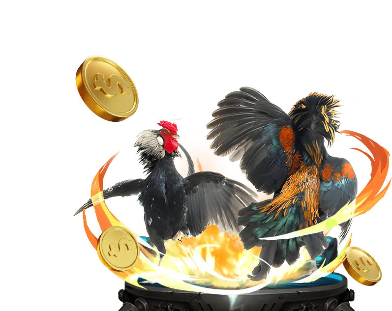 Tính năng nền tảng nohu 52 win